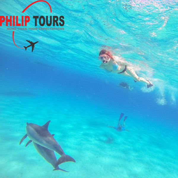 Dolphin Watching Boat Tour with Snorkeling And Lunch